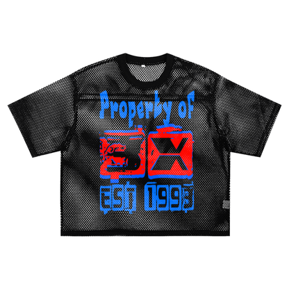 See-through Boxy Net T-Shirt ODMPOD