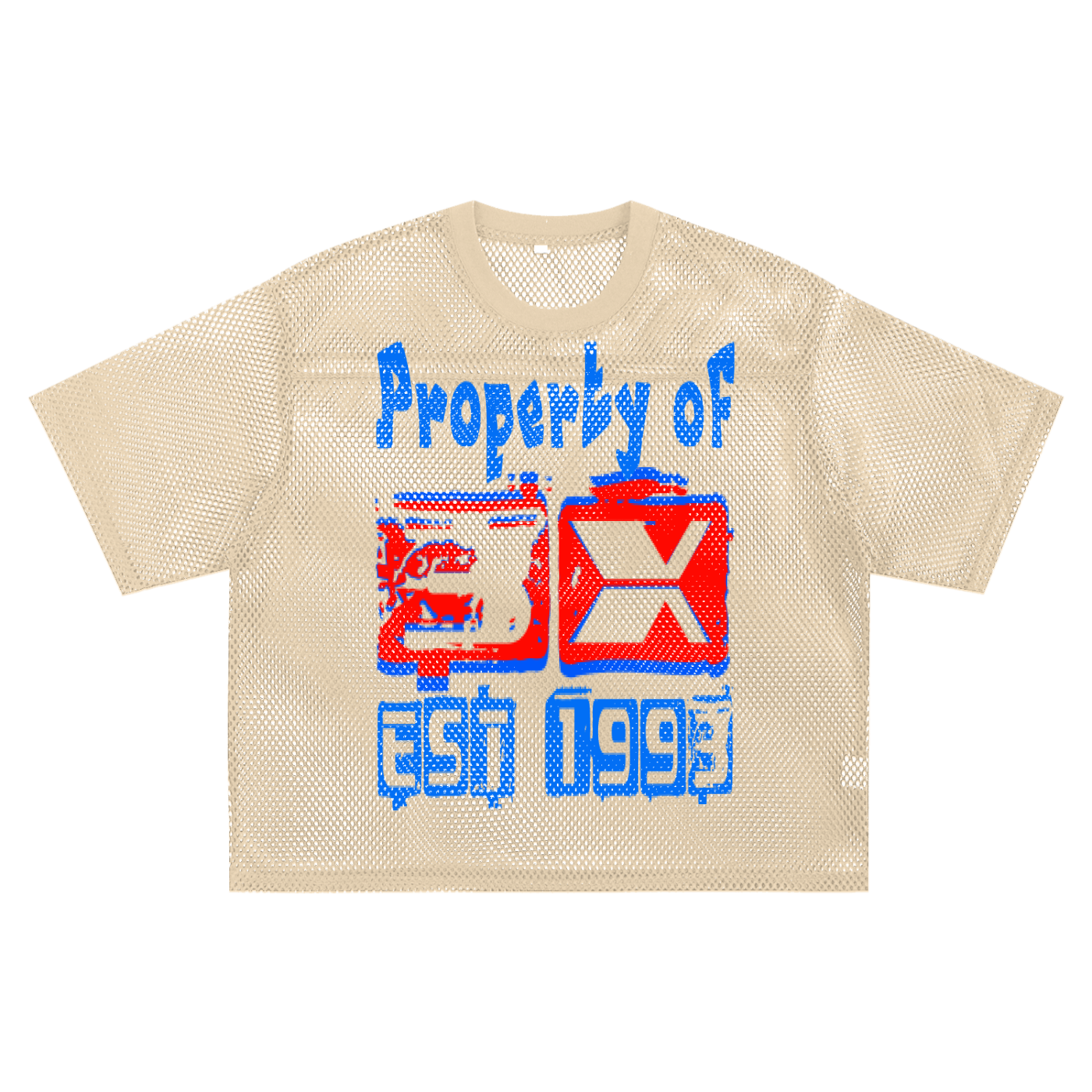 See-through Boxy Net T-Shirt ODMPOD